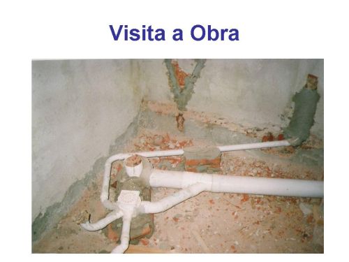 Teórica 2- Cloacales